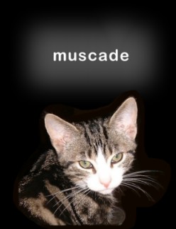 Meet Muscade!
